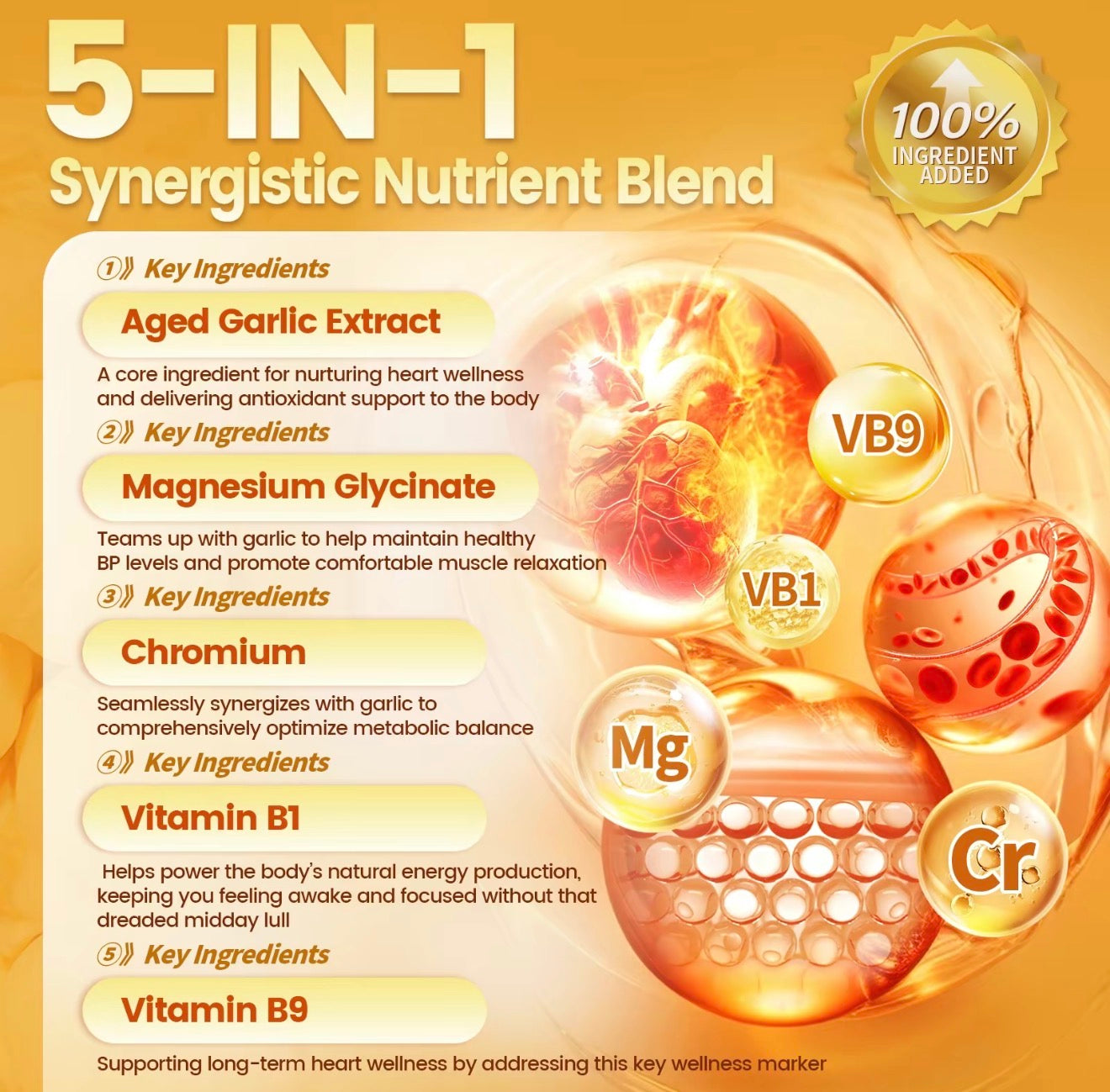 GarlicMax Aged Extract Softgels