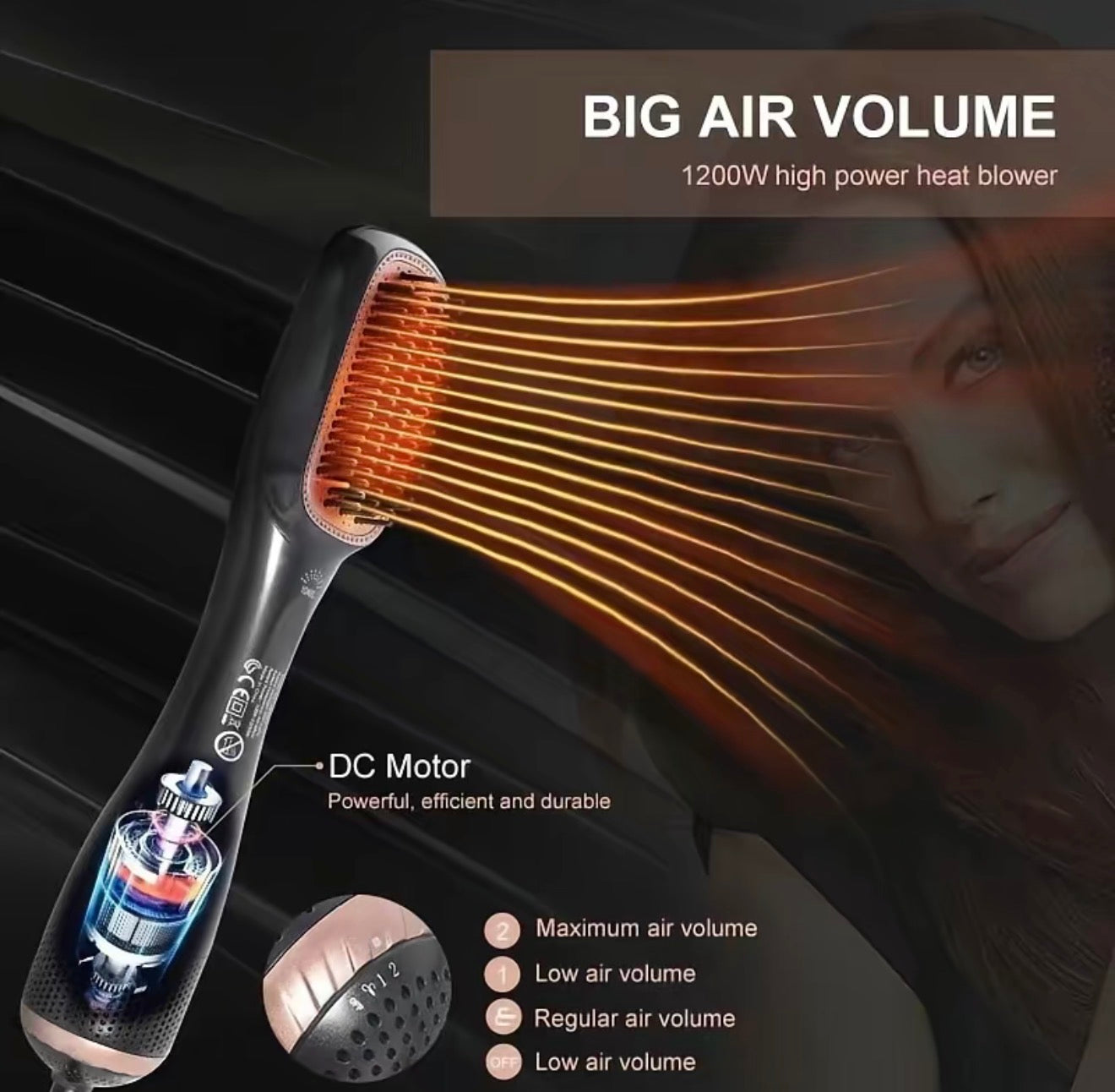 SilkBrush Hair Dryer Styler